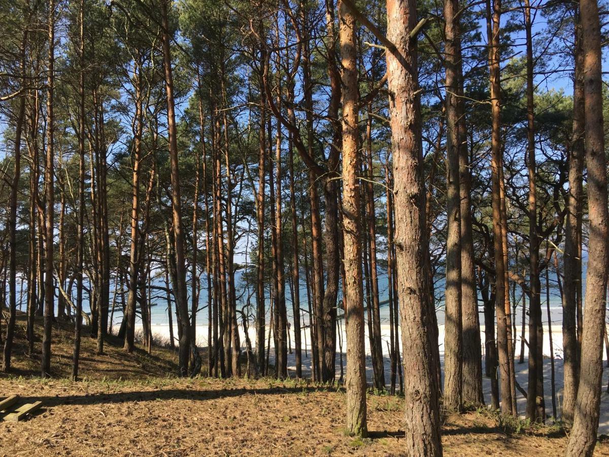 Apartamenty I Pokoje Magnolia Dźwirzyno Zewnętrze zdjęcie
